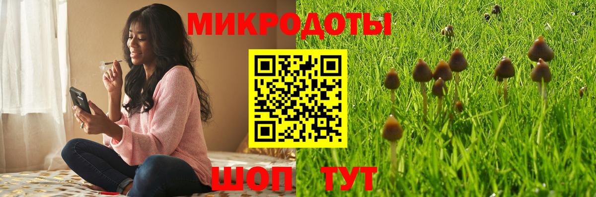 Псилоцибиновые грибы Magic Shrooms  Вход с VPN  Псилоцибиновые грибы прущие грибы  где найти   Качканар 